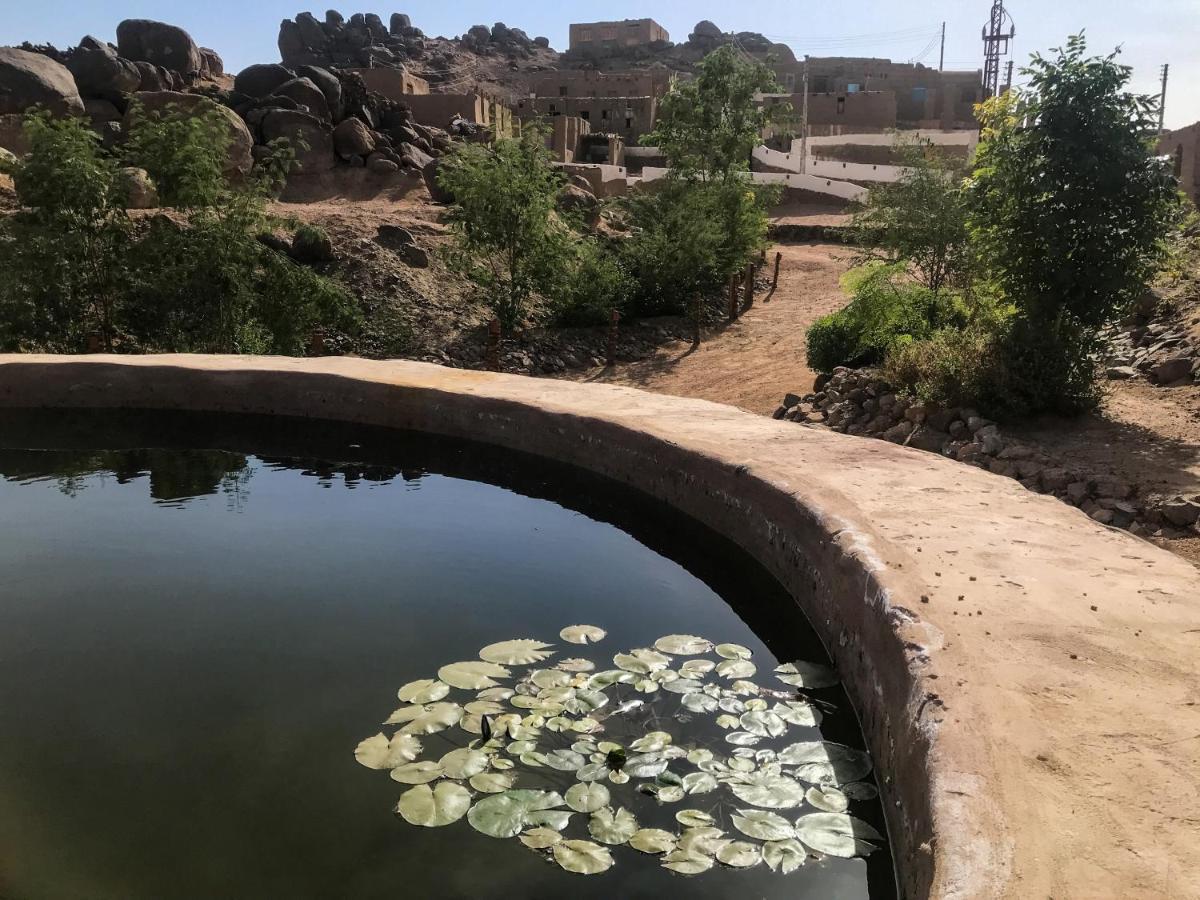 Eco Nubia Lodge *